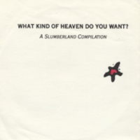 What Kind of Heaven Do You Want? image